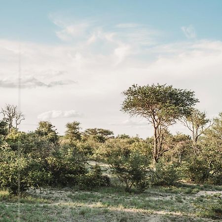 Maroelani Lodge- Greater Kruger Private Reserve フッドスプルイト エクステリア 写真