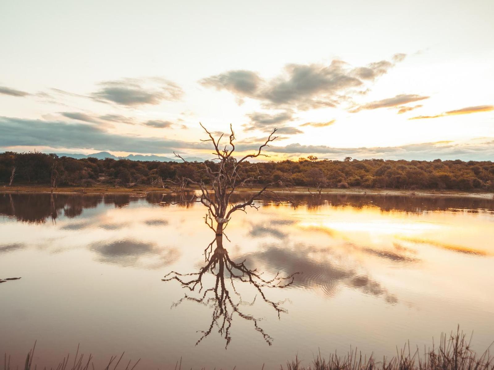 Maroelani Lodge- Greater Kruger Private Reserve フッドスプルイト エクステリア 写真