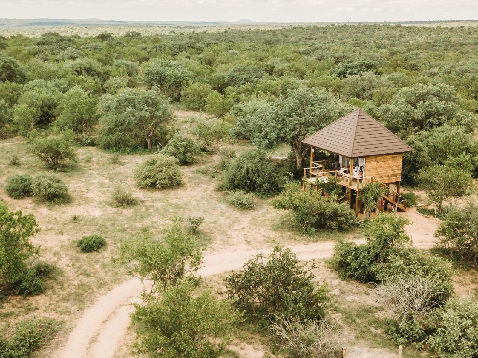 Maroelani Lodge- Greater Kruger Private Reserve フッドスプルイト 部屋 写真