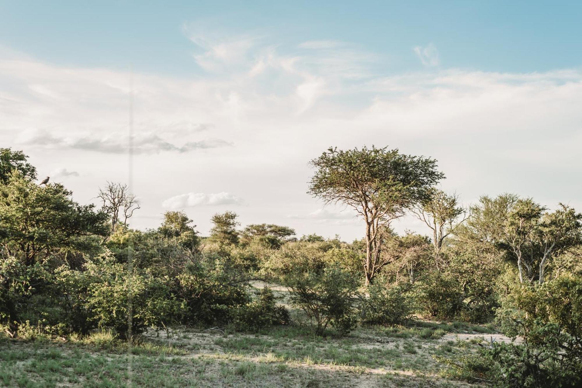 Maroelani Lodge- Greater Kruger Private Reserve フッドスプルイト エクステリア 写真